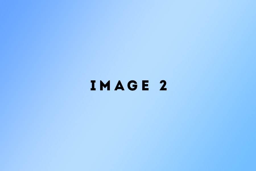 demo-img-2